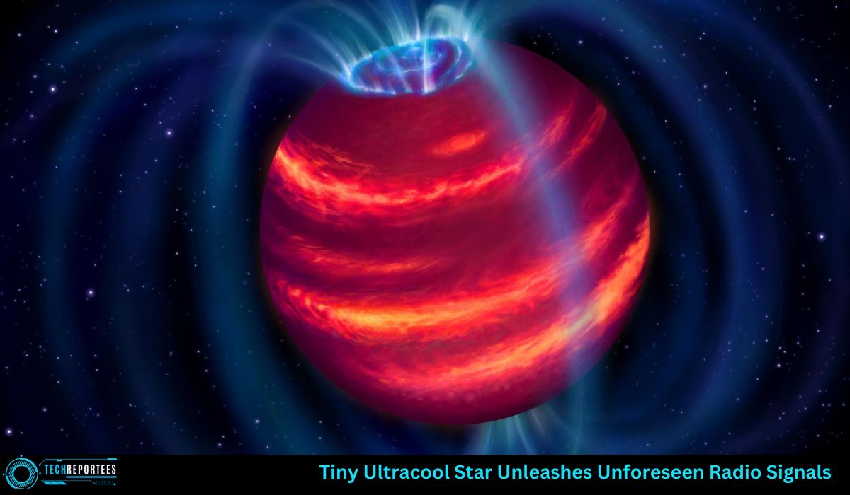 Tiny Ultracool Star Dwarf